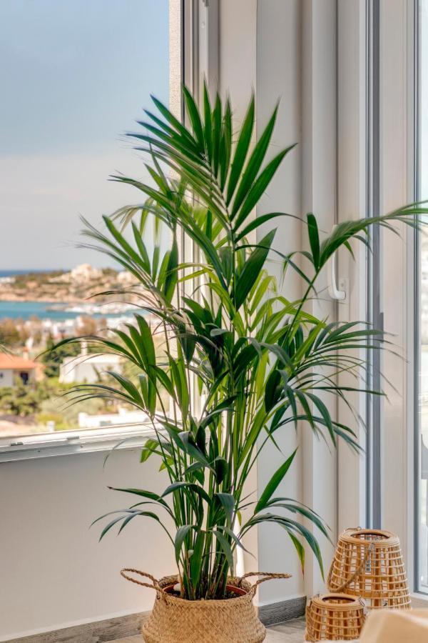 Villa Mare Syros Финикас Экстерьер фото